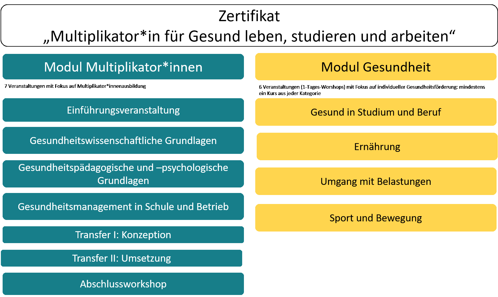 Das Bild zeigt eine Übersicht der Module des Zertifikats Das Bild zeigt eine Übersicht der Module des Zertifikats